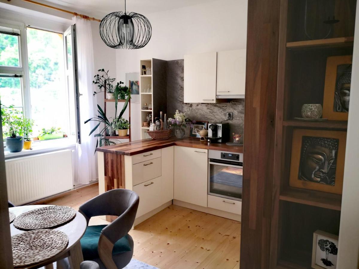 Apartmany Ivana 데친 외부 사진
